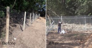 fencing1